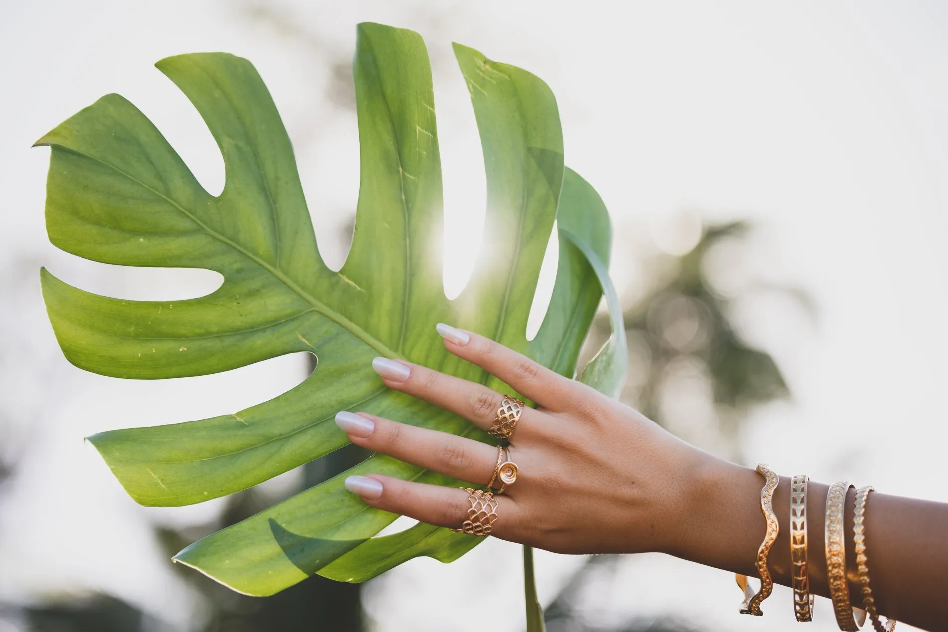 Island Honey Bangle