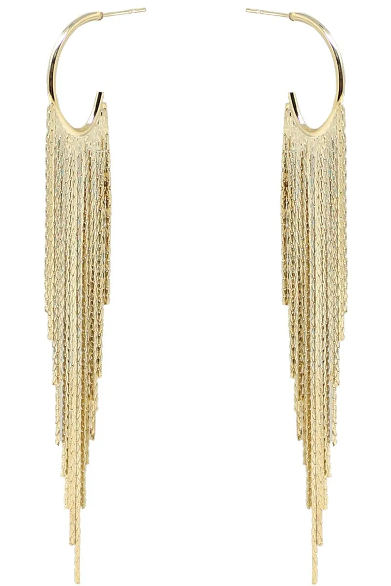 Tassel Hoop Earring